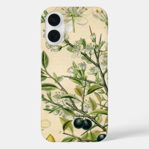 Antiek Blackthorn Botanische Print Bloembes iPhone 16 Hoesje