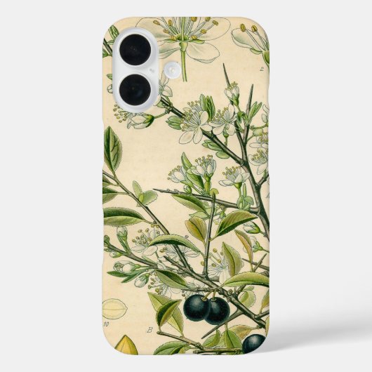 Antiek Blackthorn Botanische Print Bloembes Case-Mate iPhone Case (Achterkant)