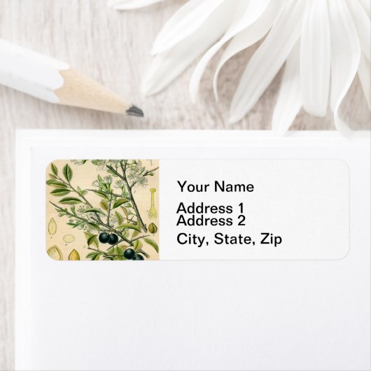Antiek Blackthorn Botanische Print Bloembes Etiket (Insitu)