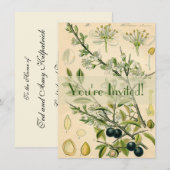 Antiek Blackthorn Botanische Print Bloembes Kaart (Voorkant / Achterkant)