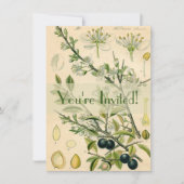 Antiek Blackthorn Botanische Print Bloembes Kaart (Voorkant)