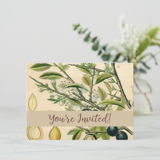 Antiek Blackthorn Botanische Print Bloembes Kaart (Staand voorkant)