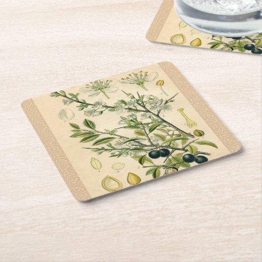 Antiek Blackthorn Botanische Print Bloembes Kartonnen Onderzetters (Schuin)