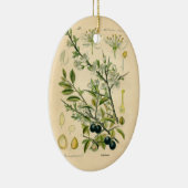 Antiek Blackthorn Botanische Print Bloembes Keramisch Ornament (Rechts)
