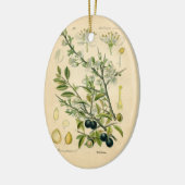 Antiek Blackthorn Botanische Print Bloembes Keramisch Ornament (Links)