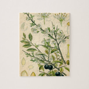 Antiek Blackthorn Botanische Print Bloembes Legpuzzel