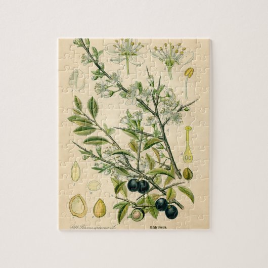 Antiek Blackthorn Botanische Print Bloembes Legpuzzel (Verticaal)