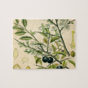Antiek Blackthorn Botanische Print Bloembes Legpuzzel