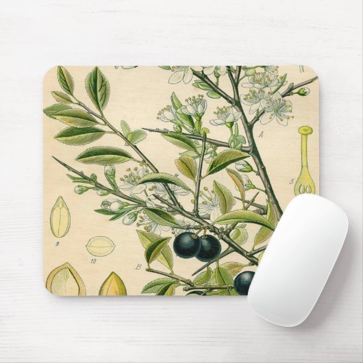 Antiek Blackthorn Botanische Print Bloembes Muismat (Met muis)