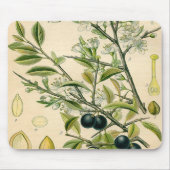 Antiek Blackthorn Botanische Print Bloembes Muismat (Voorkant)