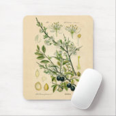 Antiek Blackthorn Botanische Print Bloembes Muismat (Met muis)