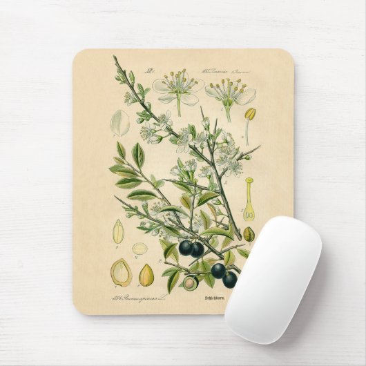Antiek Blackthorn Botanische Print Bloembes Muismat (Met muis)