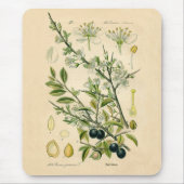 Antiek Blackthorn Botanische Print Bloembes Muismat (Voorkant)