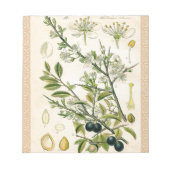 Antiek Blackthorn Botanische Print Bloembes Notitieblok (Voorkant)
