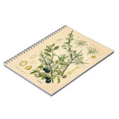 Antiek Blackthorn Botanische Print Bloembes Notitieboek (Linkerzijde)