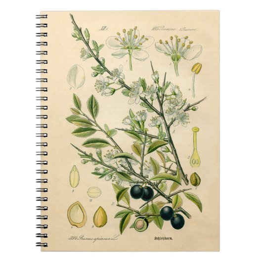 Antiek Blackthorn Botanische Print Bloembes Notitieboek (Voorkant)