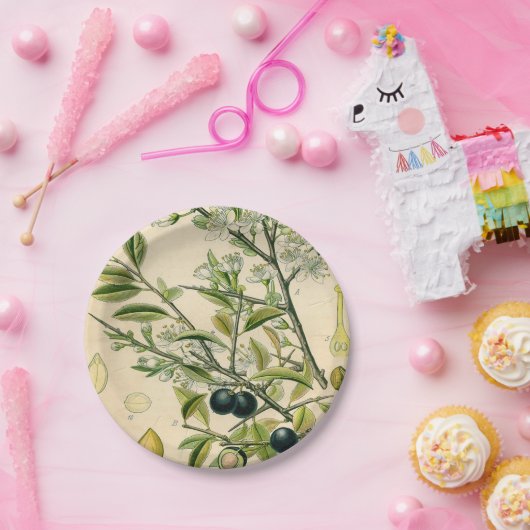 Antiek Blackthorn Botanische Print Bloembes Papieren Bordje (Feest)