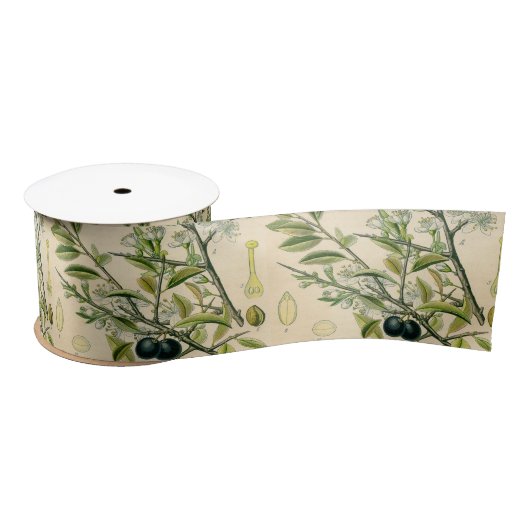 Antiek Blackthorn Botanische Print Bloembes Satijnen Lint (Spoel)