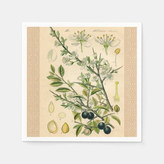 Antiek Blackthorn Botanische Print Bloembes Servet (Voorkant)