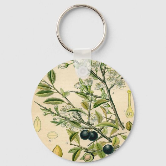 Antiek Blackthorn Botanische Print Bloembes Sleutelhanger (Voorkant)