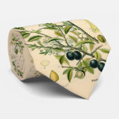 Antiek Blackthorn Botanische Print Bloembes Stropdas (Opgerold)