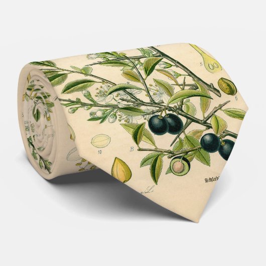 Antiek Blackthorn Botanische Print Bloembes Stropdas (Opgerold)