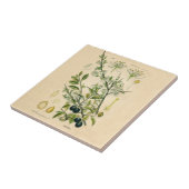 Antiek Blackthorn Botanische Print Bloembes Tegeltje (Zijkant)