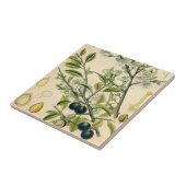 Antiek Blackthorn Botanische Print Bloembes Tegeltje (Zijkant)