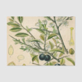 Antiek Blackthorn Botanische Print Bloembes Tissuepapier (Voorkant)
