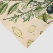 Antiek Blackthorn Botanische Print Bloembes Tissuepapier (Detail)
