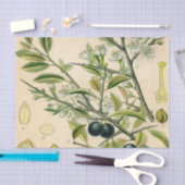 Antiek Blackthorn Botanische Print Bloembes Tissuepapier (Craft)
