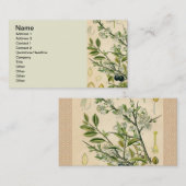 Antiek Blackthorn Botanische Print Bloembes Visitekaartje (Voorkant / Achterkant)