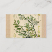 Antiek Blackthorn Botanische Print Bloembes Visitekaartje (Achterkant)
