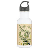 Antiek Blackthorn Botanische Print Bloembes Waterfles (Voorkant)
