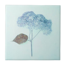  Antiek Blauw Hydrangea Land Floral