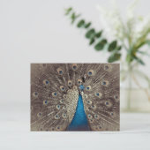 Antiek Blauw Peacock Briefkaart (Staand voorkant)