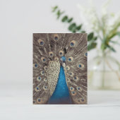 Antiek Blauw Peacock Briefkaart (Staand voorkant)