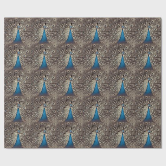 Antiek Blauw Peacock Cadeaupapier (Vlak)