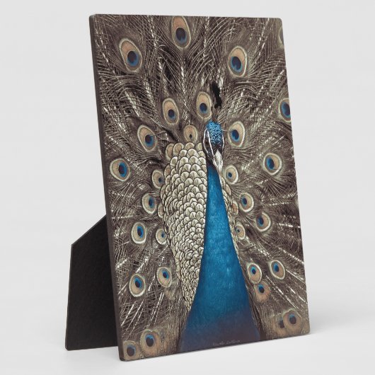 Antiek Blauw Peacock Fotoplaat (Zijkant)