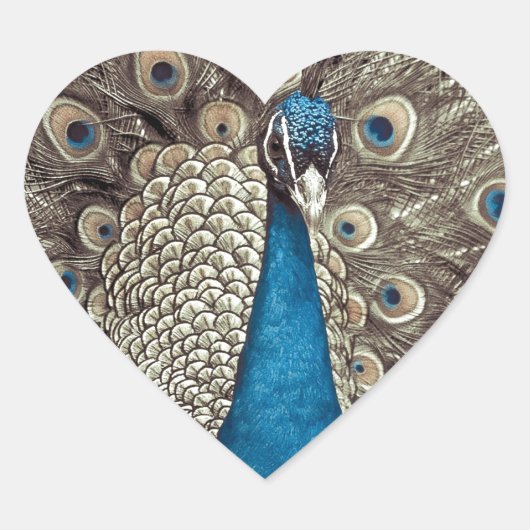 Antiek Blauw Peacock Hart Sticker (Voorkant)