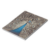Antiek Blauw Peacock Notitieblok (Linkerzijde)