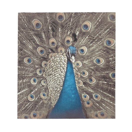 Antiek Blauw Peacock Notitieblok (Voorkant)