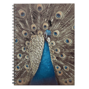 Antiek Blauw Peacock Notitieboek