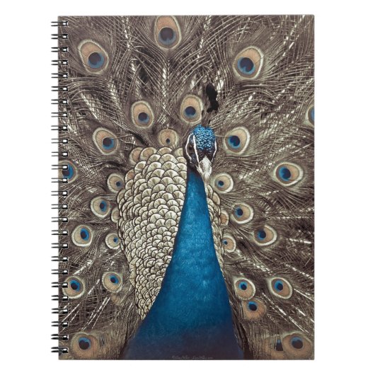 Antiek Blauw Peacock Notitieboek (Voorkant)