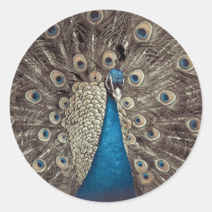 Antiek Blauw Peacock Ronde Sticker