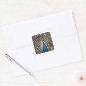 Antiek Blauw Peacock Vierkante Sticker (Envelop)