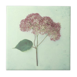  Antiek Blauwgroen Pink Hydrangea Land Floral Tegeltje