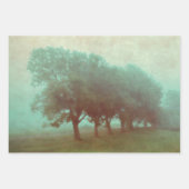 Antiek Blauwgroen textuur Landschapsontkoppeling Inpakpapier Vel (Voorkant 3)