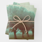 Antiek Blauwgroen textuur Landschapsontkoppeling Inpakpapier Vel (In situ)