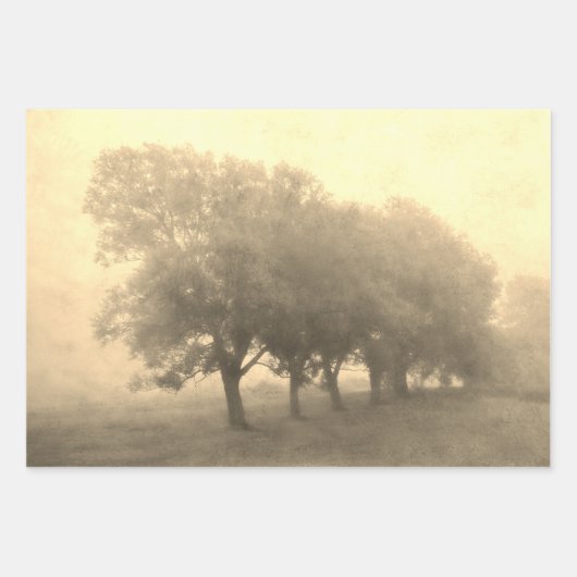  Antiek Blauwgroen textuur Landschapsontkoppeling Inpakpapier Vel (Voorkant 3)